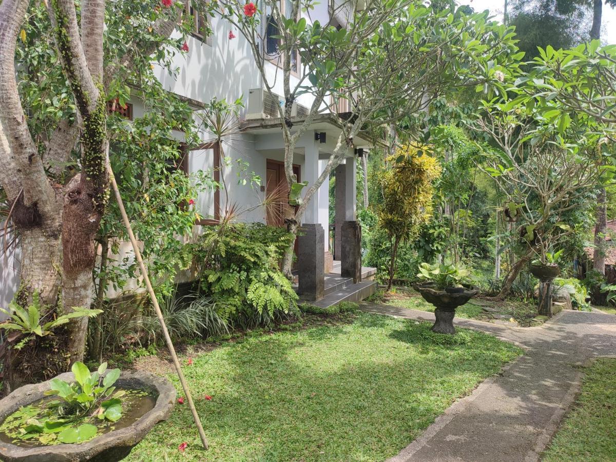 Nyoman Homestay Ubud Dış mekan fotoğraf