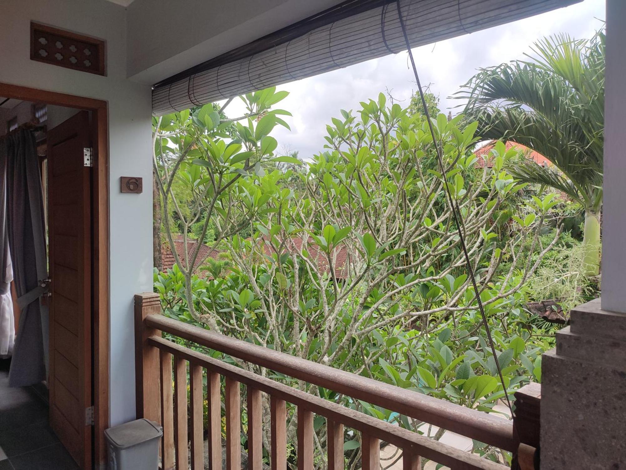 Nyoman Homestay Ubud Dış mekan fotoğraf
