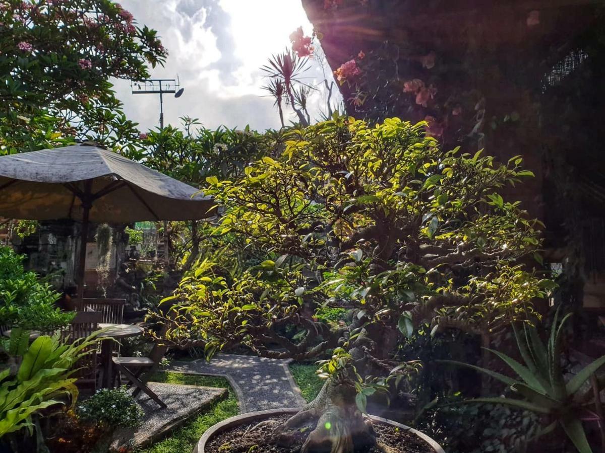 Nyoman Homestay Ubud Dış mekan fotoğraf