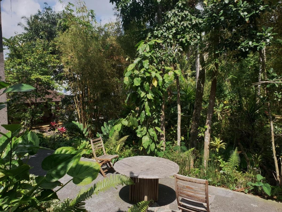 Nyoman Homestay Ubud Dış mekan fotoğraf