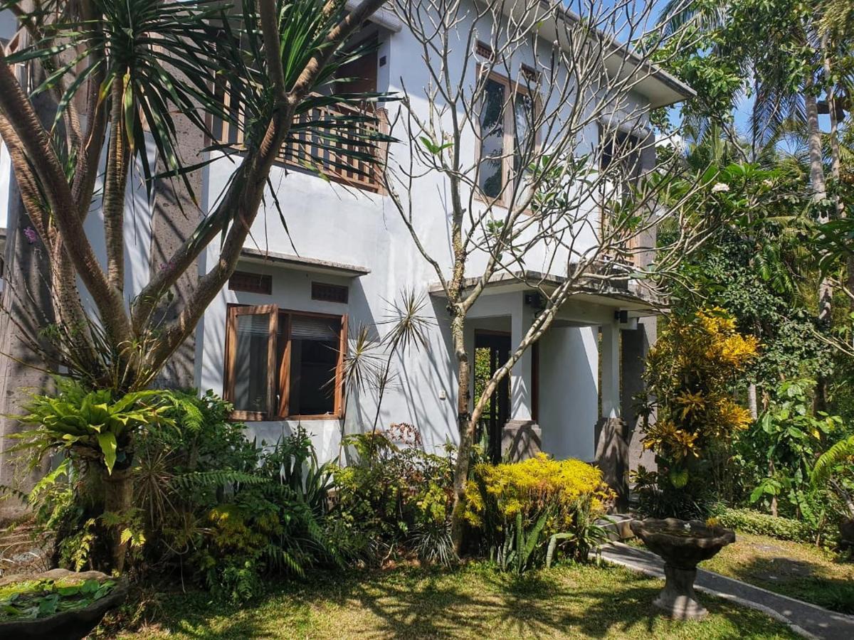 Nyoman Homestay Ubud Dış mekan fotoğraf
